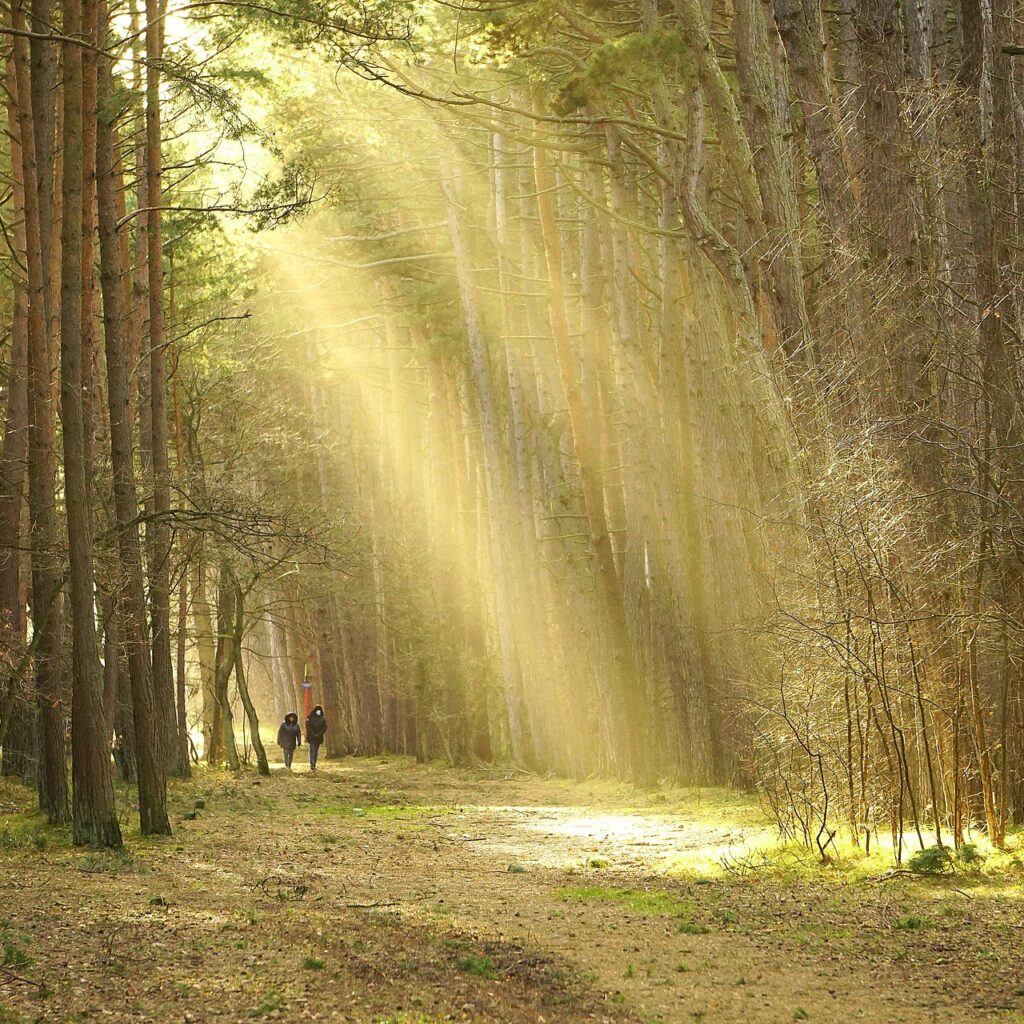 A Breath of Fresh Air