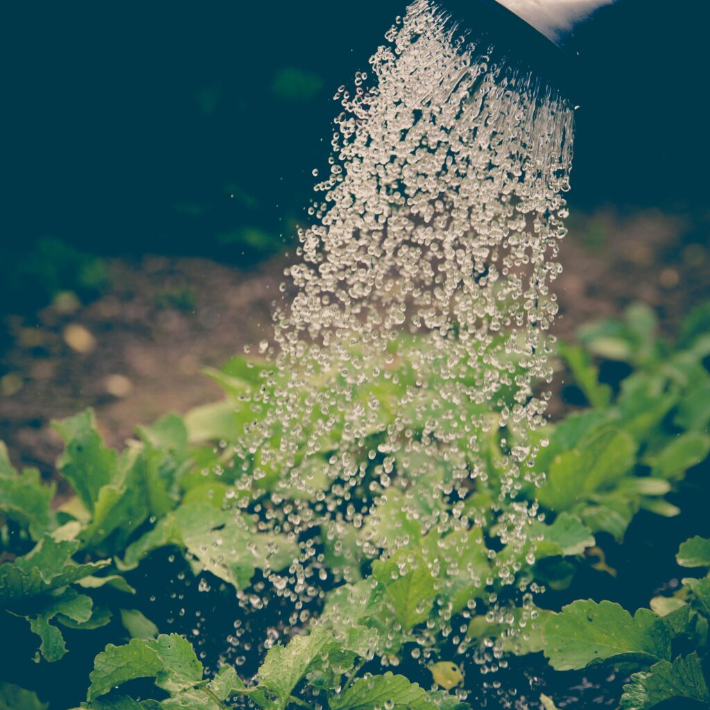 Easy Gardening